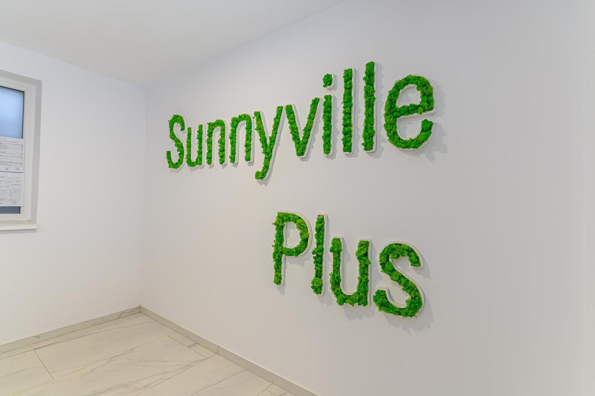 Sunny Loft & Parking 3 * Brașov